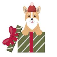 Dog Corgi sits in gift boxes. Happy Birthday card. Cute pets for congratulation with birthday, New Year, Christmas. Illustration for dog lovers, veterinary clinics, pet shops. vector