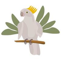 Bright colored parrot and tropical leaves. Cockatoo parrot in the tropics. Exotic birds. Multicolored summer bird. vector