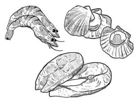conjunto de croquis y vieiras de camarones con elementos de mariscos dibujados a mano y filete de salmón vector