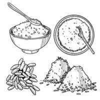 set of sketch and hand drawn rice and wheat bowl vector