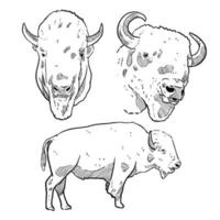 conjunto de boceto y bisonte de toro de elemento animal de invierno dibujado a mano vector