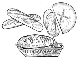 conjunto de boceto y conjunto de elementos de pan y bagutte dibujados a mano vector