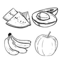 conjunto de boceto y fruta dibujada a mano sandía aguacate plátano y manzana vector