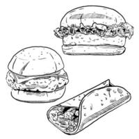 set of sketch and hand drawn fast food element burger hamburger and burrito vector
