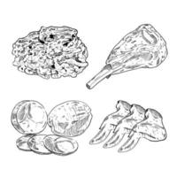 conjunto de bocetos y elementos dibujados a mano conjunto de colección de jamón y bistec de carne vector