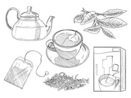 conjunto de boceto y conjunto de colección de té de elementos dibujados a mano vector