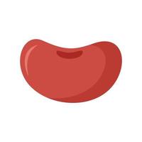 Food kidney bean icon flat isolated vector