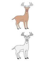 Wild Animals colored and with sketches vector