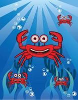 Crab Banner character cute vector