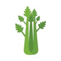 Natural celery icon flat isolated vector