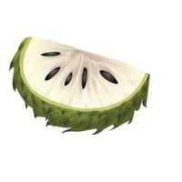 Annona soursop icon cartoon vector. Graviola fruit vector