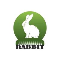 Rabbit icon vector