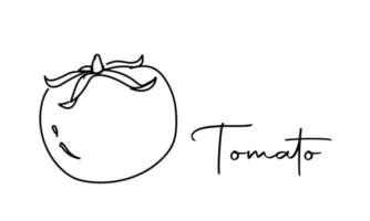 icono de vector de tomate para diseño web aislado sobre fondo blanco. diseño de arte de línea delgada, ilustración de contorno.