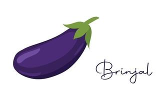 Eggplant, Aubergine or Brinjal vegetable vector icon in line style design for website design, app, UI, isolated on white background.