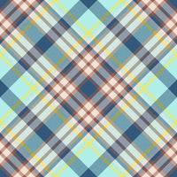 Plaid pattern vector. Check fabric texture. Seamless textile design for clothes, paper print. vector