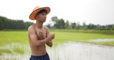 vista lateral, primer plano en cámara lenta de un granjero, retrato de un adulto joven en topless y con sombrero de pie con los brazos cruzados, sonriendo y mirando hacia adelante en el campo de arroz video