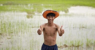 tir au ralenti, portrait d'un jeune agriculteur sans chemise portant un chapeau montrant le pouce vers le haut à deux mains et hochant la tête debout dans les rizières, il sourit avec bonheur en réussissant