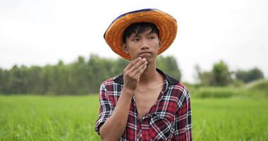 cámara lenta, retrato de un adulto joven con camisa a cuadros y sombrero, usa los dedos para tocar las sienes mientras piensa y sonríe cuando lo descubre. en los campos de arroz con orgullo video