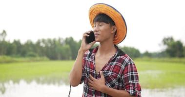 fazendeiro asiático vestindo camisa xadrez e chapéu de palha e falando no celular, ele sorri e ri de felicidade, campo de arroz no fundo video