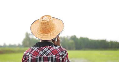 la parte de atrás de un granjero asiático con camisa a cuadros y sombrero de paja y hablando por teléfono móvil con felicidad, campo de arroz en el fondo video