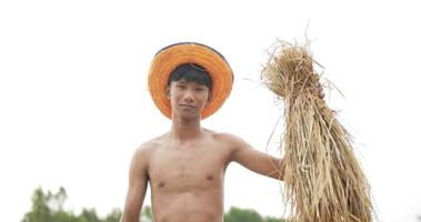 tir à faible angle, homme torse nu fermier asiatique dans un chapeau tenant un semis avec sa main droite levée. et l'autre avec le pouce levé, il se lève et regarde la caméra avec le sourire. video