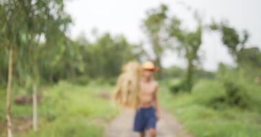 la vista frontal del joven agricultor sin camisa con sombrero lleva las plántulas de arroz en el hombro y camina en el arrozal video