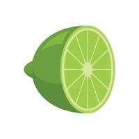 Half lime icon flat isolated vector