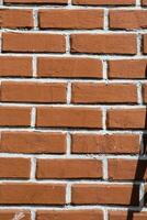 Old grunge brick wall background photo