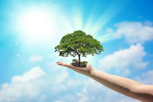 Hand holding a growing tree on the ground and a blurry sky background. concept of environmental conservation and planting trees for a beautiful world with our hands photo