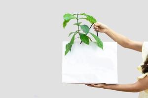 Paper shopping bag with small green plant in it presented on blur background. photo