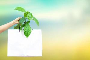 bolsa de compras de papel con una pequeña planta verde presentada en un fondo borroso. foto