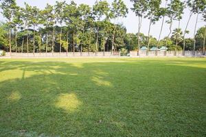 Green Field with trees in the park landscape view photo