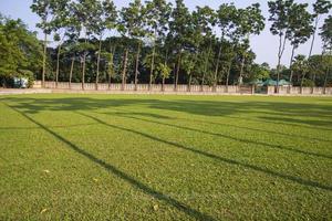 Green Field with trees in the park landscape view photo