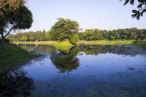 Natural landscape view Reflection of trees in the lake water against blue sky photo