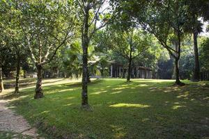 campo verde con árboles en la vista del paisaje del parque foto