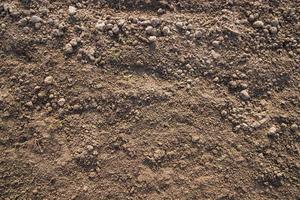 Brown crushed soil peat field texture may be used as a  background wallpaper photo