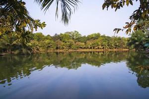 paisaje natural ver el reflejo de los árboles en el agua del lago contra el cielo azul foto