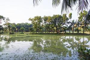 Natural landscape view Reflection of trees in the lake water against blue sky photo