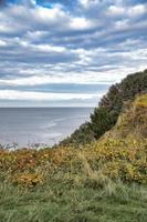 hundested, dinamarca en el acantilado con vistas al mar. costa del mar báltico, cubierta de hierba foto