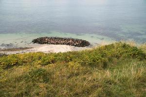 Hundested, Denmark on the cliff overlooking the sea. Baltic Sea coast, grassy photo