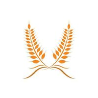 Agriculture wheat Logo Template vector icon