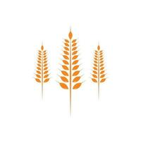 icono de vector de plantilla de logotipo de trigo de agricultura