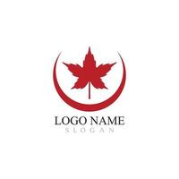 Maple leaf logo template vector icon illustration