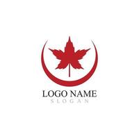 Maple leaf logo template vector icon illustration