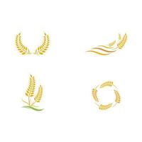 Agriculture wheat Logo Template vector icon