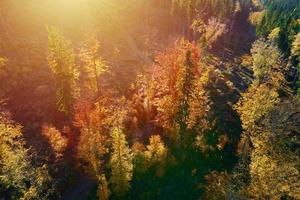 Aerial view of mountains covered with autumn forest photo