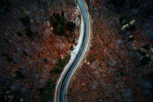 paisaje con camino sinuoso a través del bosque, vista aérea foto