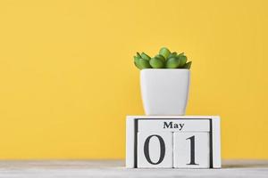 calendario de bloques de madera con fecha 1 de mayo y planta suculenta sobre fondo amarillo foto