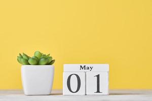 calendario de bloques de madera con fecha 1 de mayo y planta suculenta sobre fondo amarillo foto