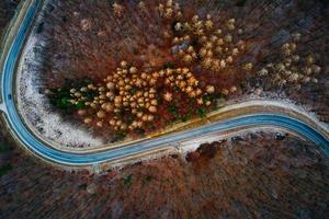 Landscape with winding road through forest, aerial view photo